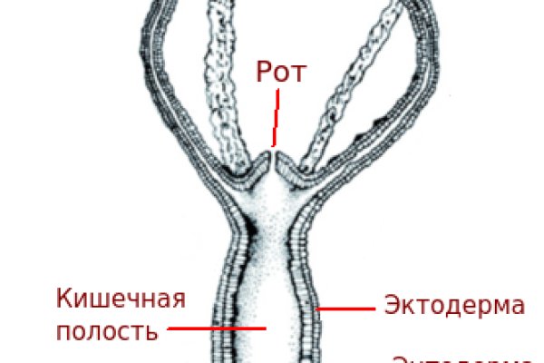 Kraken официальная ссылка tor